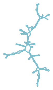 Consensus structure of IRESG205
