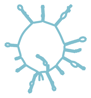 Consensus structure of IRESG206