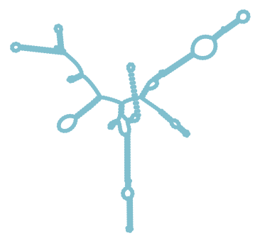 Consensus structure of IRESG207