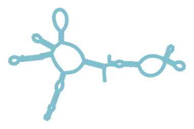 Consensus structure of IRESG208