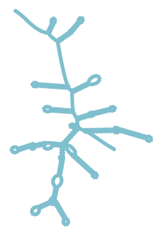 Consensus structure of IRESG209
