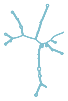 Consensus structure of IRESG210