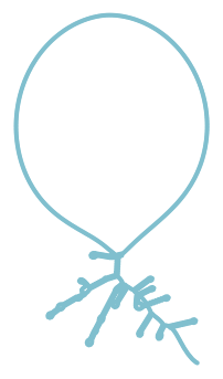 Consensus structure of IRESG212