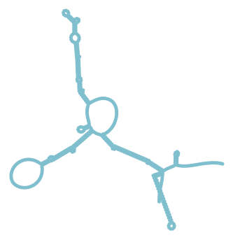 Consensus structure of IRESG213