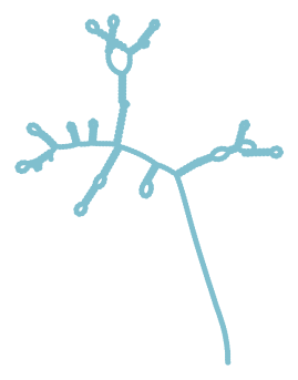 Consensus structure of IRESG215