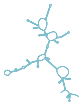Consensus structure of IRESG216