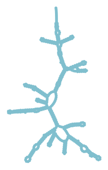 Consensus structure of IRESG217