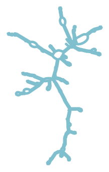 Consensus structure of IRESG219