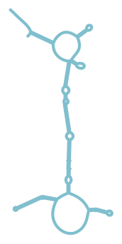 Consensus structure of IRESG220