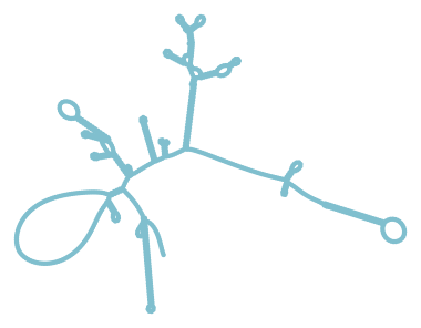 Consensus structure of IRESG221