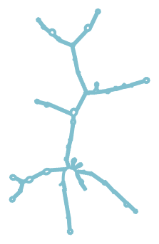 Consensus structure of IRESG222