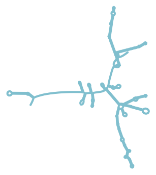 Consensus structure of IRESG223
