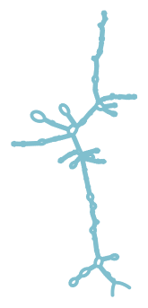Consensus structure of IRESG224
