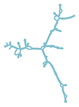 Consensus structure of IRESG225