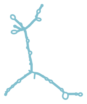 Consensus structure of IRESG227