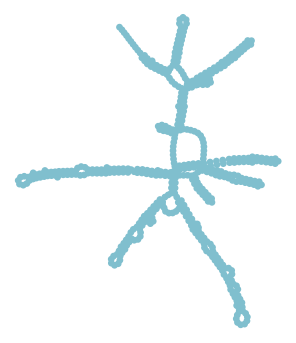 Consensus structure of IRESG228