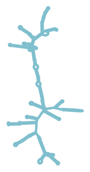 Consensus structure of IRESG232