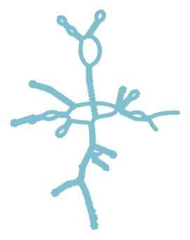 Consensus structure of IRESG233