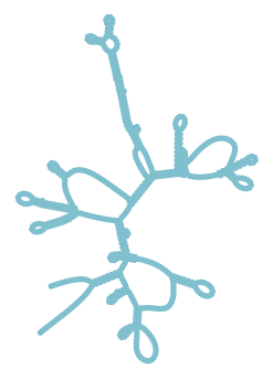 Consensus structure of IRESG234