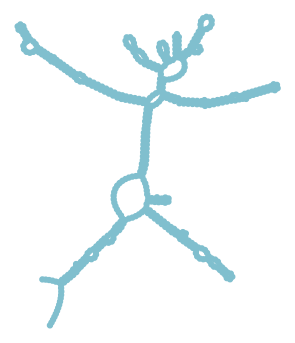 Consensus structure of IRESG235