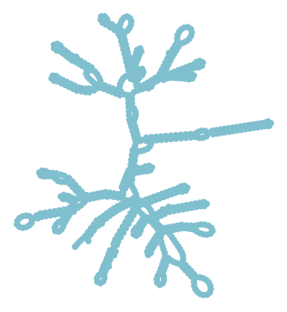 Consensus structure of IRESG238