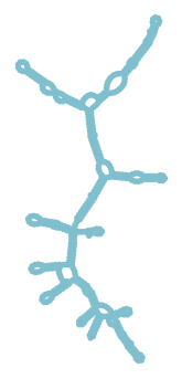 Consensus structure of IRESG239