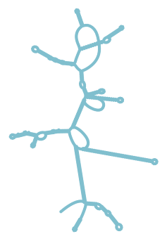Consensus structure of IRESG240