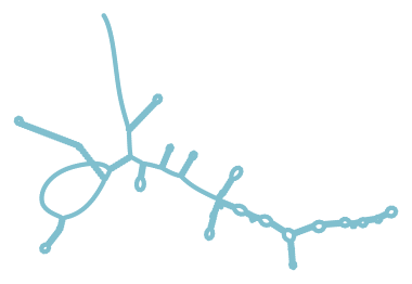 Consensus structure of IRESG243