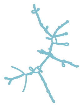 Consensus structure of IRESG244