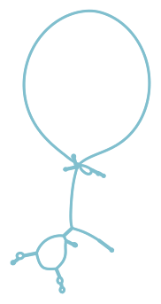 Consensus structure of IRESG245