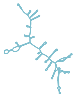 Consensus structure of IRESG246