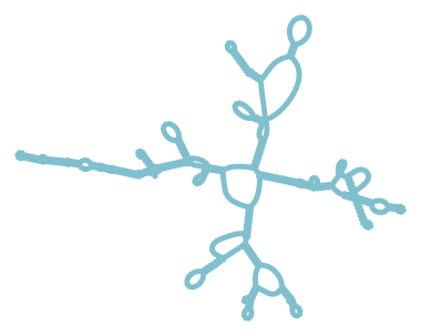 Consensus structure of IRESG247