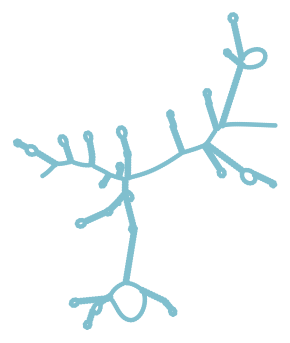 Consensus structure of IRESG250
