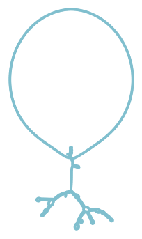 Consensus structure of IRESG251