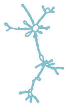 Consensus structure of IRESG252