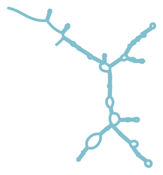 Consensus structure of IRESG254