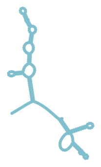 Consensus structure of IRESG255