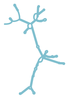 Consensus structure of IRESG256