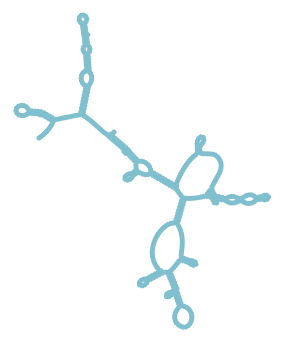 Consensus structure of IRESG257