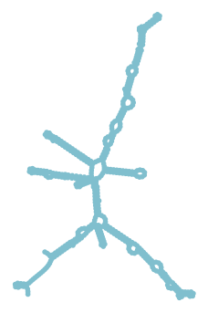 Consensus structure of IRESG258