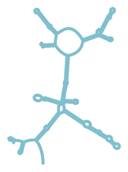 Consensus structure of IRESG259