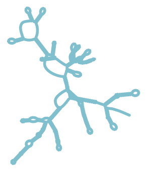 Consensus structure of IRESG260