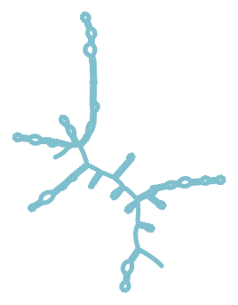 Consensus structure of IRESG262