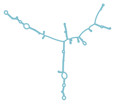 Consensus structure of IRESG264