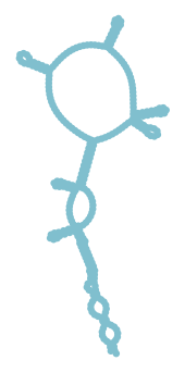 Consensus structure of IRESG265