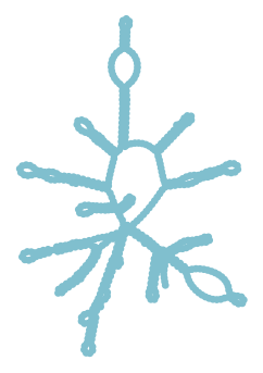 Consensus structure of IRESG267