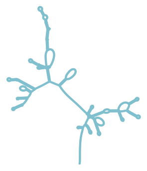 Consensus structure of IRESG268