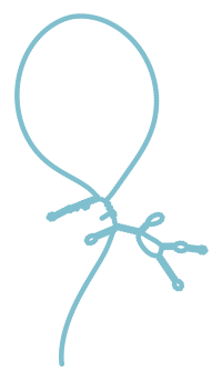 Consensus structure of IRESG269