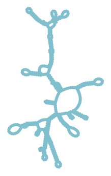 Consensus structure of IRESG271
