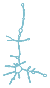 Consensus structure of IRESG272